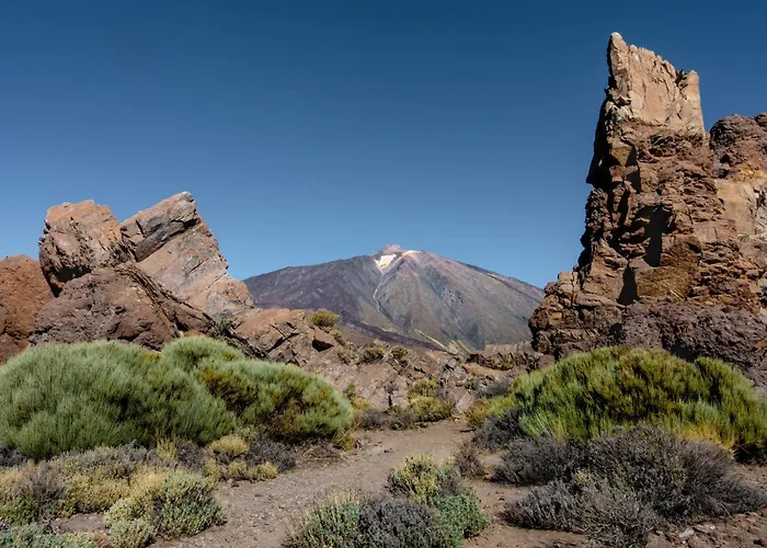 Eden Elite Palace * Costa Adeje (Tenerife)